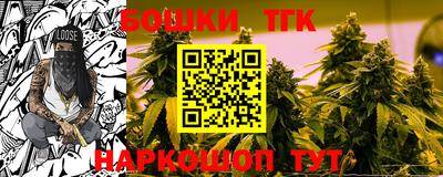 крисы Нальчик